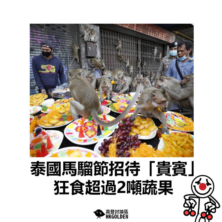 【泰國馬騮節招待「貴賓」 狂食超過2噸蔬果】