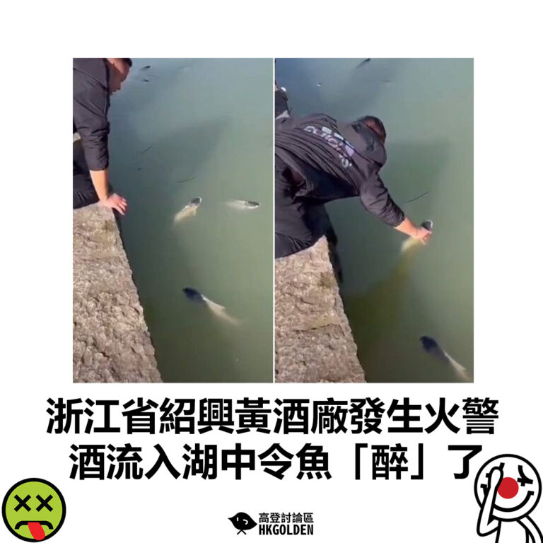 【浙江省紹興黃酒廠發生火警  酒流入湖中令魚「醉」了】
