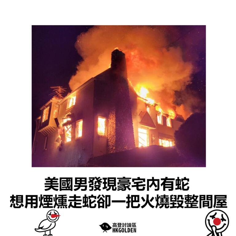 【美國男發現豪宅內有蛇  想用煙燻走蛇卻一把火燒毀整間屋】