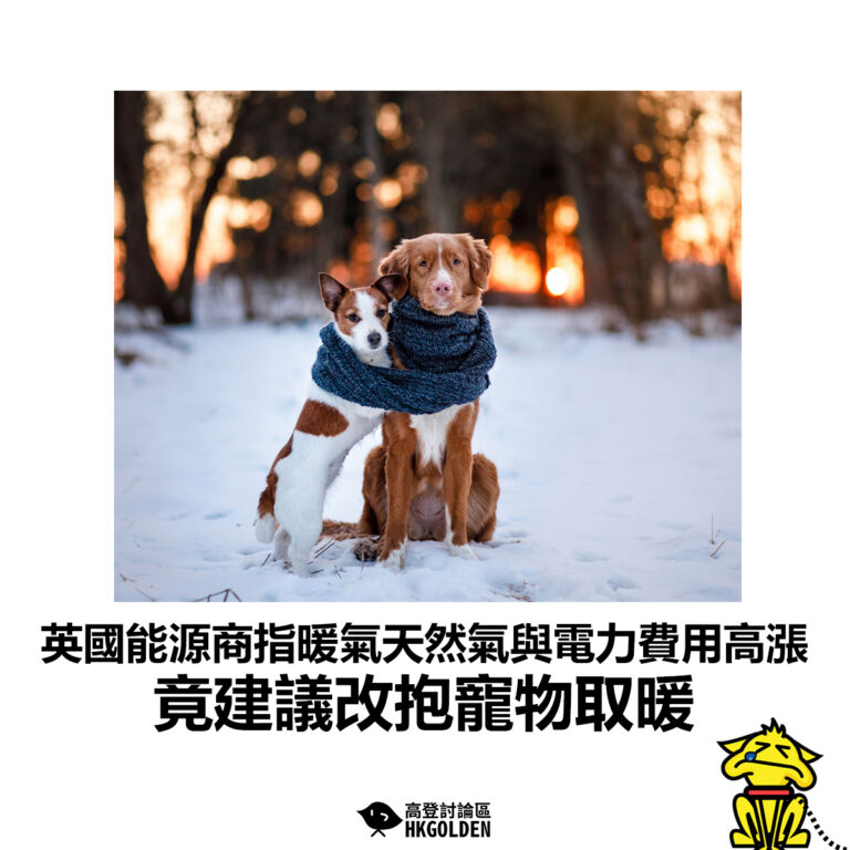 【英國能源商暖氣天然氣與電力費用高漲 竟建議改抱寵物取暖】