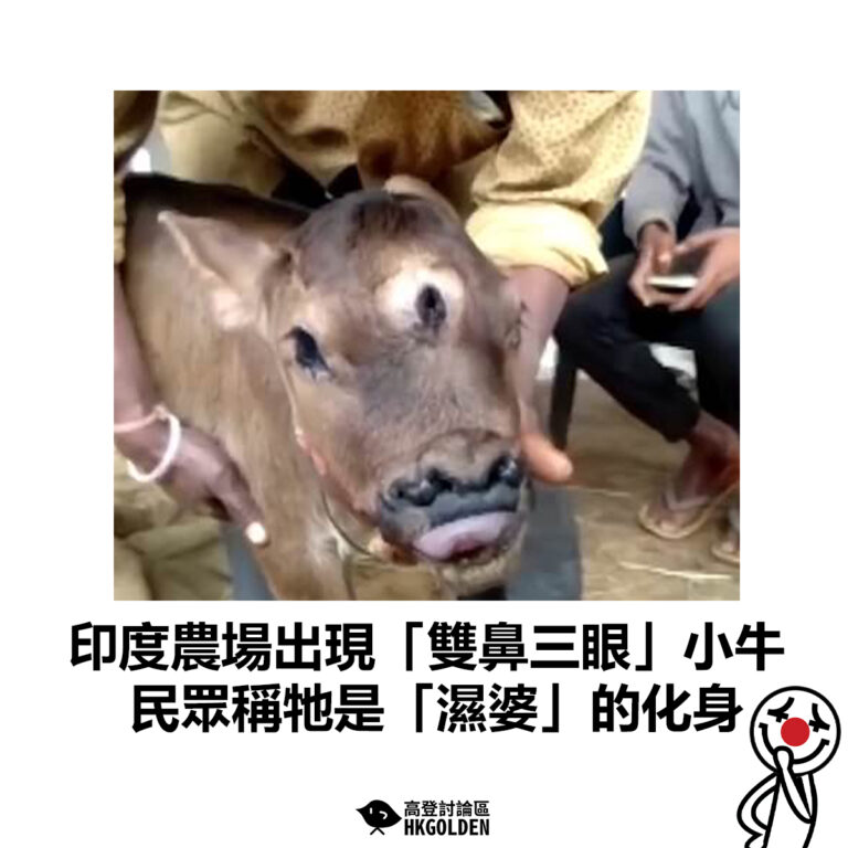 【印度農場出現「雙鼻三眼」小牛  民眾稱牠是「濕婆」的化身 】