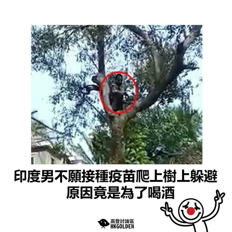 【印度男不願接種疫苗爬上樹上躲避  原因竟是為了喝酒】