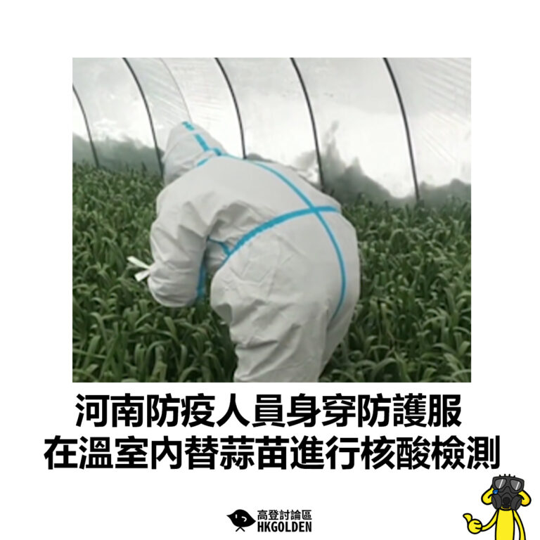 【河南防疫人員身穿防護服 在溫室內替蒜苗進行核酸檢測】
