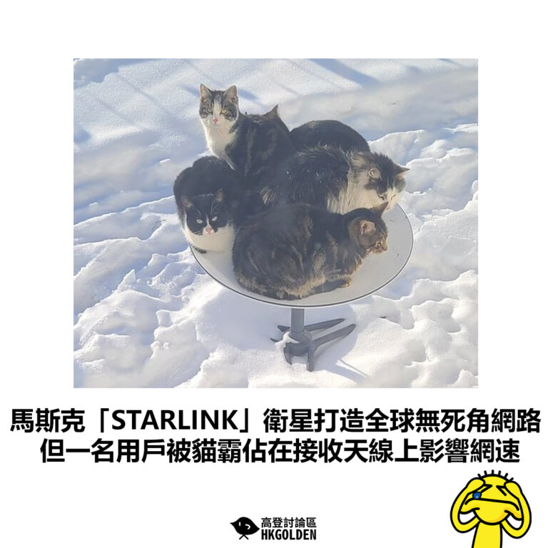 【馬斯克「STARLINK」衛星打造全球無死角網路  但一名用戶被貓霸佔在接收天線上影響網速】