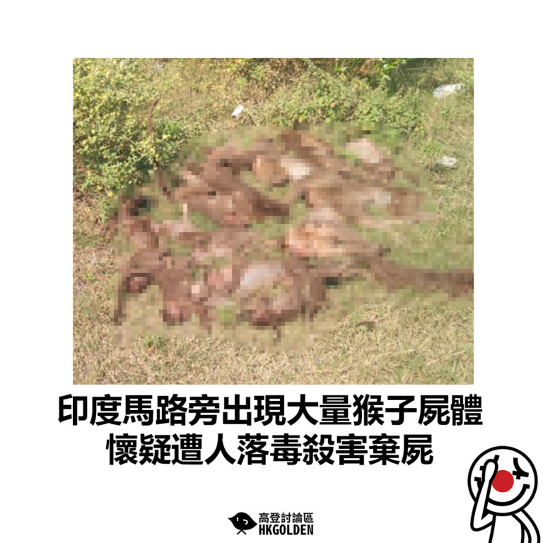 【印度馬路旁出現大量猴子屍體 懷疑遭人落毒殺害棄屍】