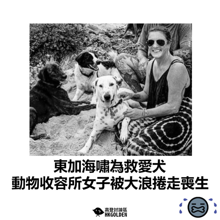 【東加海嘯為救為救愛犬 動物收容所英國女子被大浪捲走喪生】