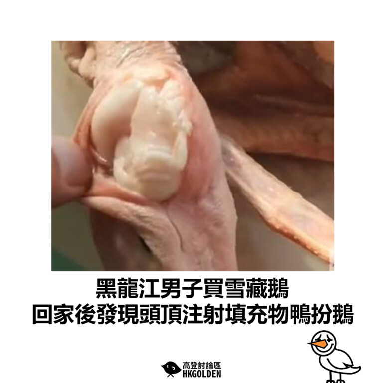 【黑龍江男子買雪藏鵝 回家後發現頭頂注射填充物鴨扮鵝】
