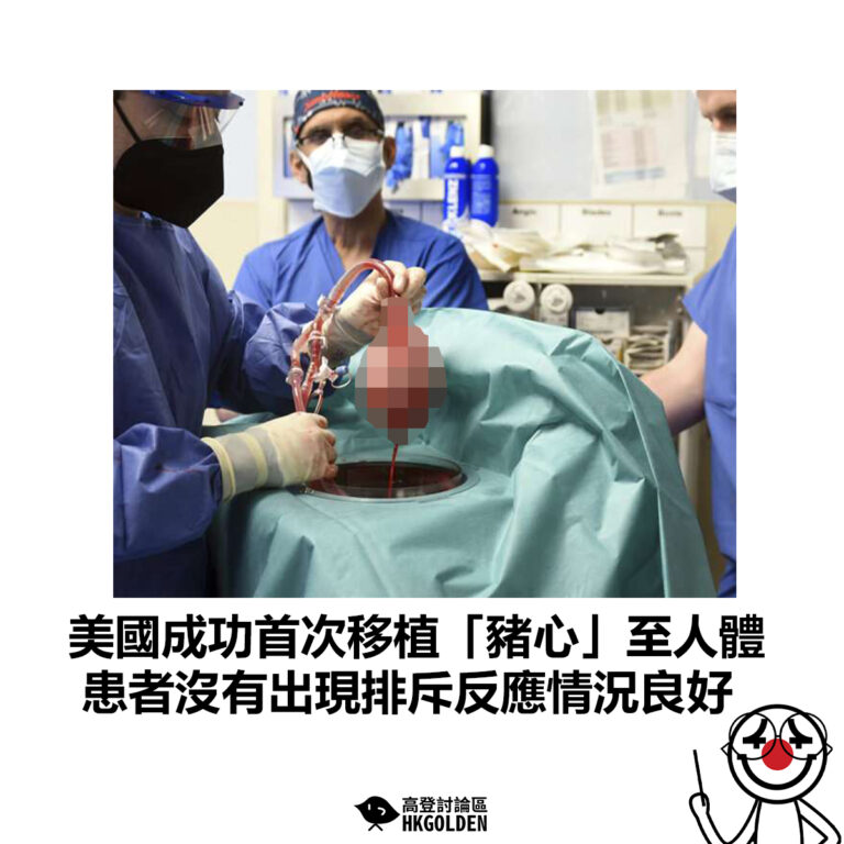 【美國成功首次移植「豬心」至人體 患者沒有出現排斥反應情況良好】