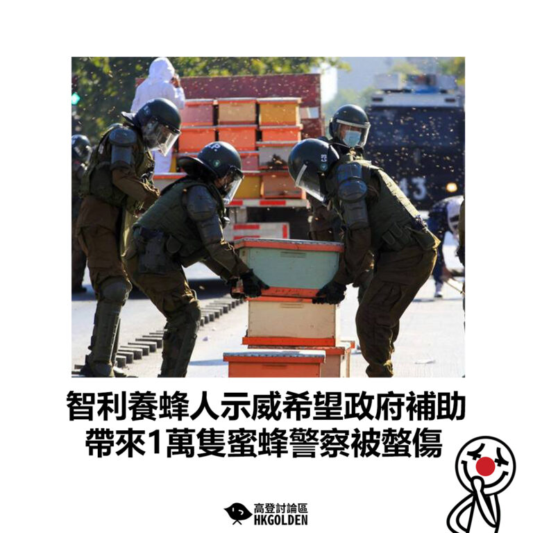 【智利養蜂人示威希望政府補助 帶來1萬隻蜜蜂警察被螫傷】