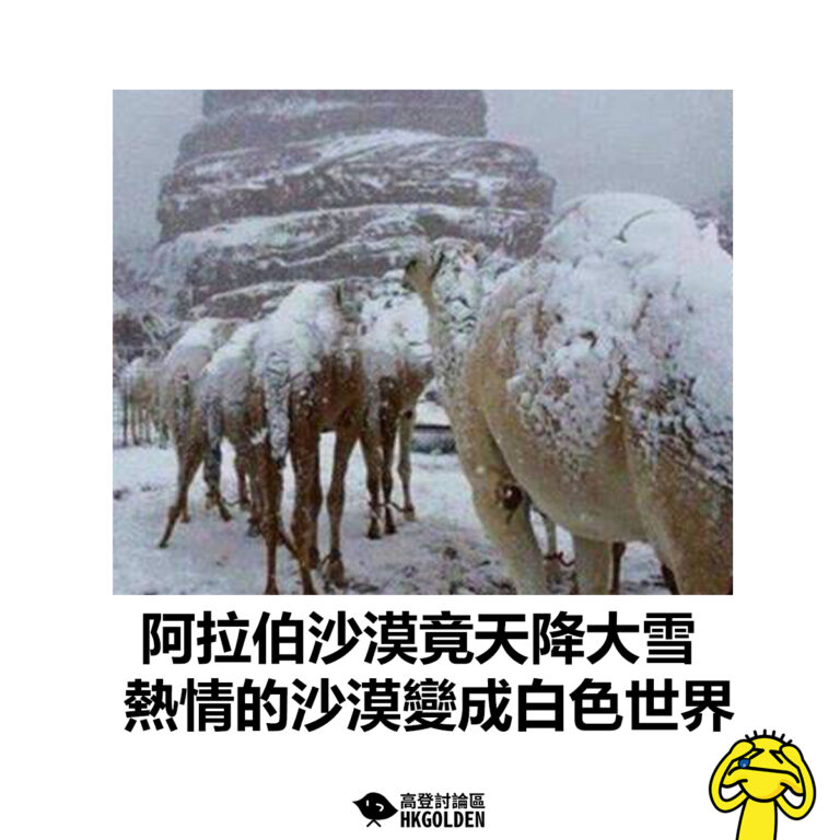 【阿拉伯沙漠竟天降大雪  熱情的沙漠變成白色世界】