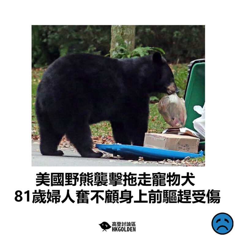 【美國野熊襲擊拖走寵物犬 81歲婦人奮不顧身上前驅趕受傷】