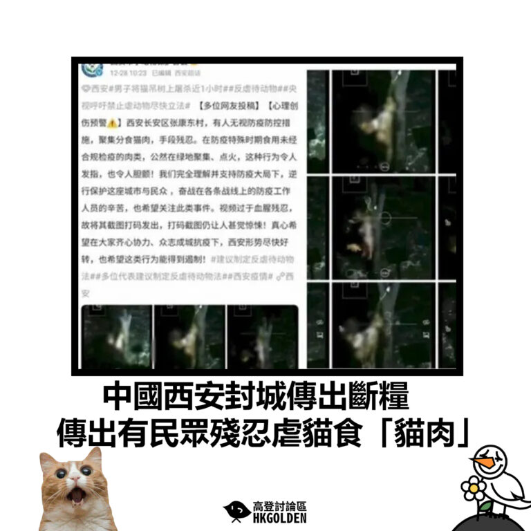【中國西安封城傳出斷糧 傳出有民眾殘忍虐貓食「貓肉」】