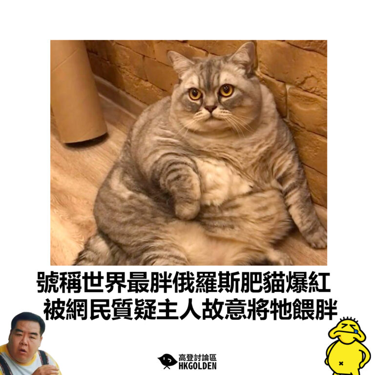 【號稱世界最胖俄羅斯肥貓爆紅 被網民質疑主人故意將牠餵胖 】