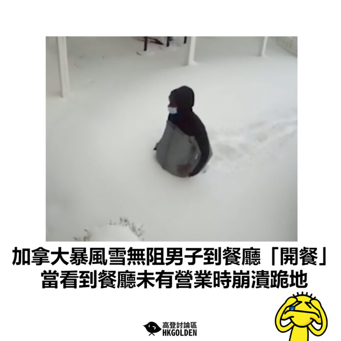 sdfsfsfddgbfvcb