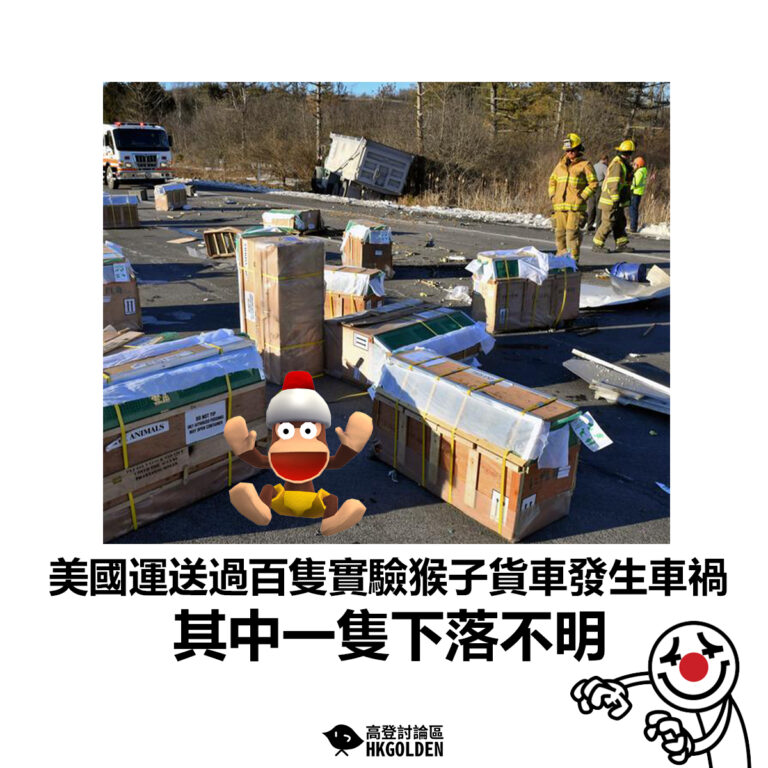 【美國運送過百隻實驗猴子貨車發生車禍 其中一隻下落不明】