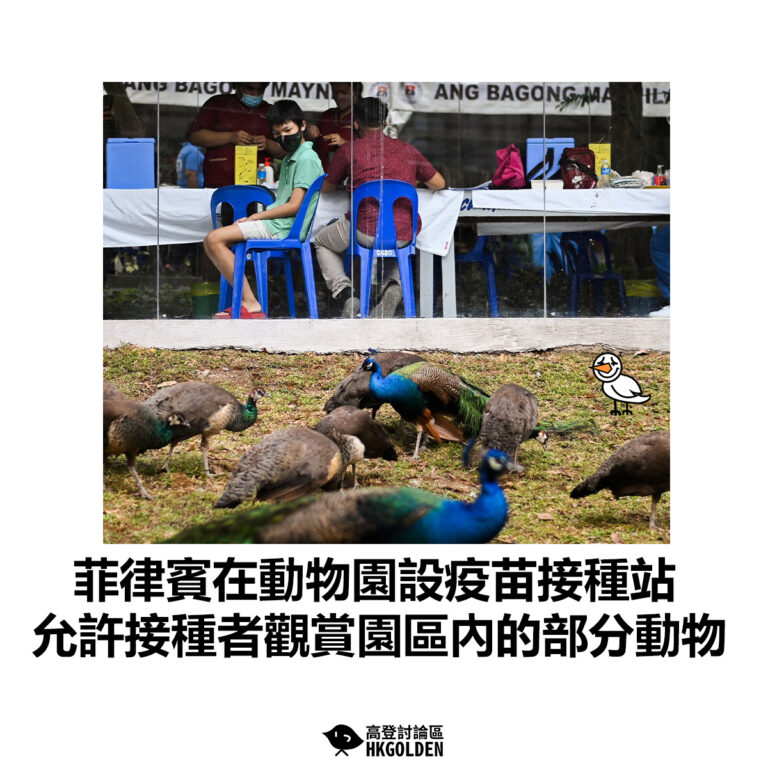 【菲律賓在動物園設疫苗接種站 允許接種者觀賞園區內的部分動物】