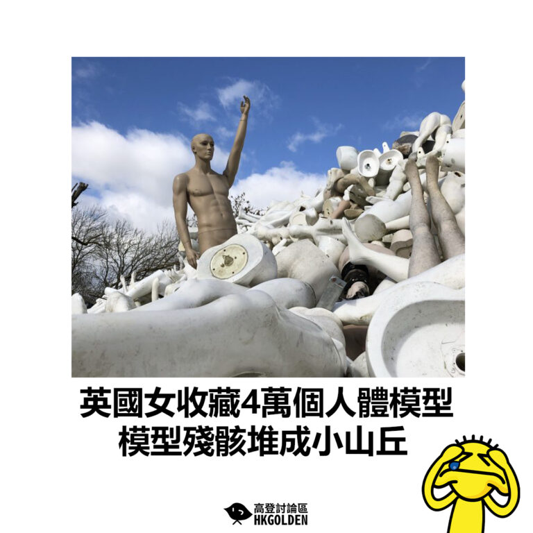 【英國女收藏4萬個人體模型 模型殘骸堆成小山丘】