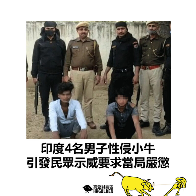 【印度4名男子性侵小牛 引發民眾示威要求當局嚴懲】