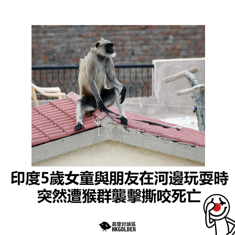 【印度5歲女童與朋友在河邊玩耍時 突然遭猴群襲擊撕咬死亡】