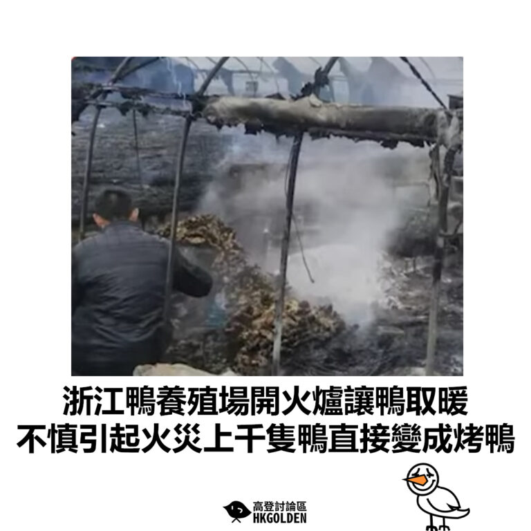 【浙江鴨養殖場開火爐讓鴨取暖 不慎引起火災上千隻鴨直接變成烤鴨】