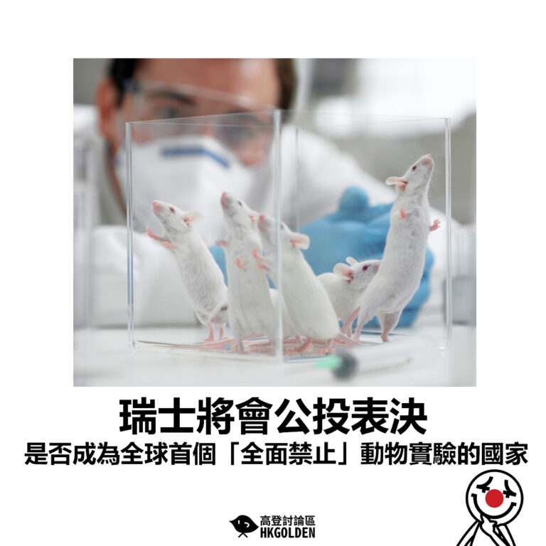 【瑞士將會公投表決 是否成為全球首個「全面禁止」動物實驗的國家】