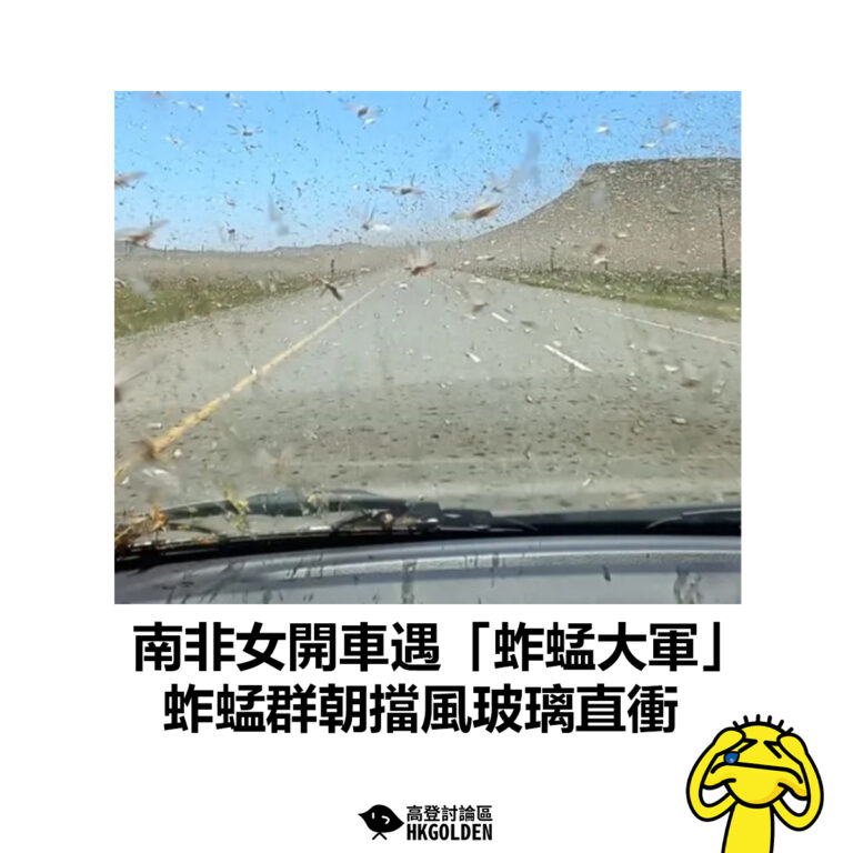 【南非女開車遇「蚱蜢大軍」 蚱蜢群朝擋風玻璃直衝】