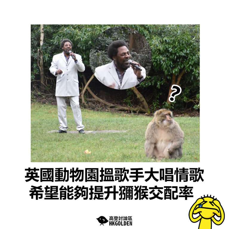 【英國動物園搵歌手大唱情歌  希望能夠提升獼猴交配率】