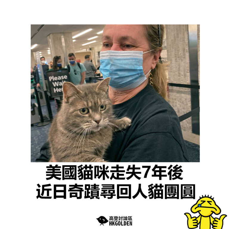 【美國貓咪走失7年後  近日奇蹟尋回人貓團圓】