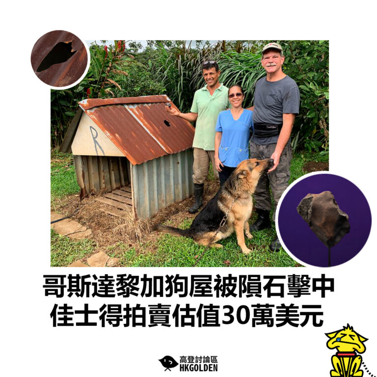 【哥斯達黎加狗屋被隕石擊中 佳士得拍賣估值30萬美元】