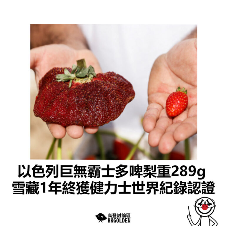 【以色列巨無霸士多啤梨重289g 雪藏1年終獲健力士世界紀錄認證】