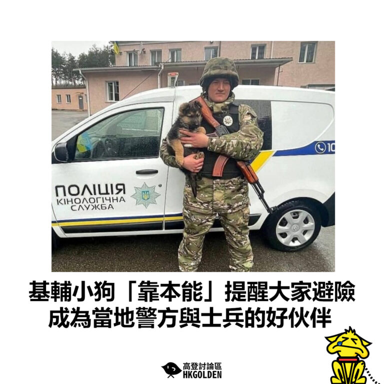 【 基輔小狗「靠本能」提醒大家避險 成為當地警方與士兵的好伙伴】