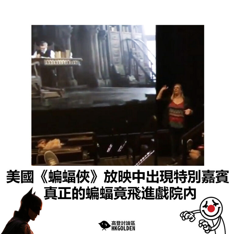 【美國《蝙蝠俠》放映中出現特別嘉賓 真正的蝙蝠飛進戲院內】