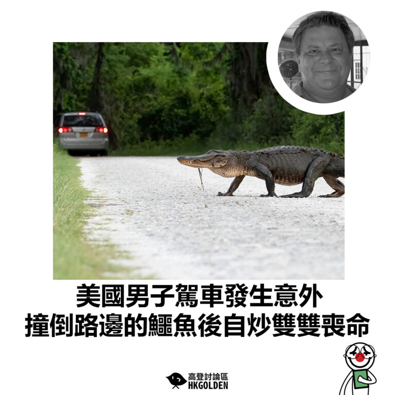 【美國男子駕車發生意外 撞倒路邊的鱷魚後自炒雙雙喪命】