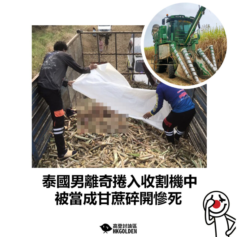 【泰國男離奇捲入收割機中  被當成甘蔗碎開慘死】