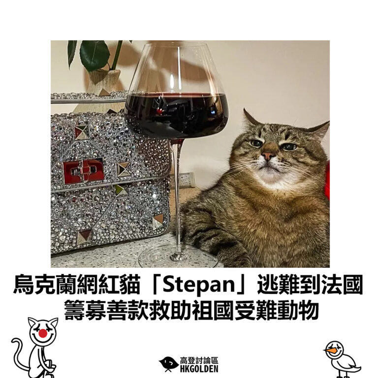 【烏克蘭網紅貓「Stepan」逃難到法國 籌募善款救助祖國受難動物】