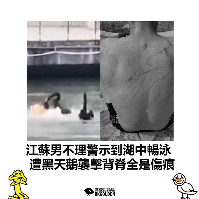 【江蘇男不理警示到湖中暢泳 遭黑天鵝襲擊背脊全是傷痕】