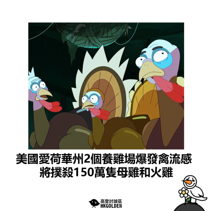 fgdsgsdagsdg
