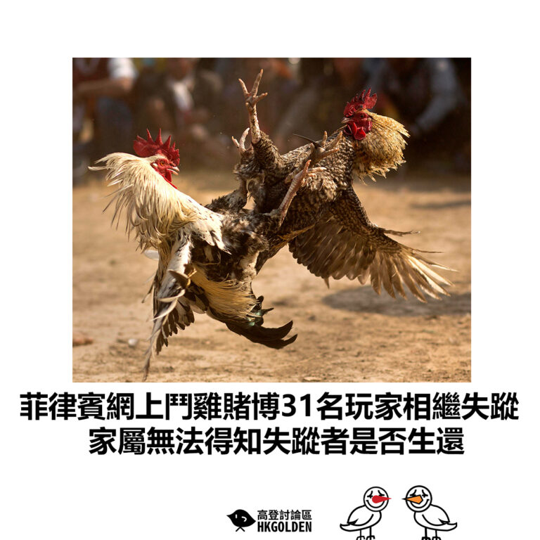 【菲律賓網上鬥雞賭博31名玩家相繼失蹤 家屬無法得知失蹤者是否生還】