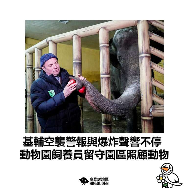 【基輔空襲警報與爆炸聲響不停 動物園飼養員留守園區照顧動物】