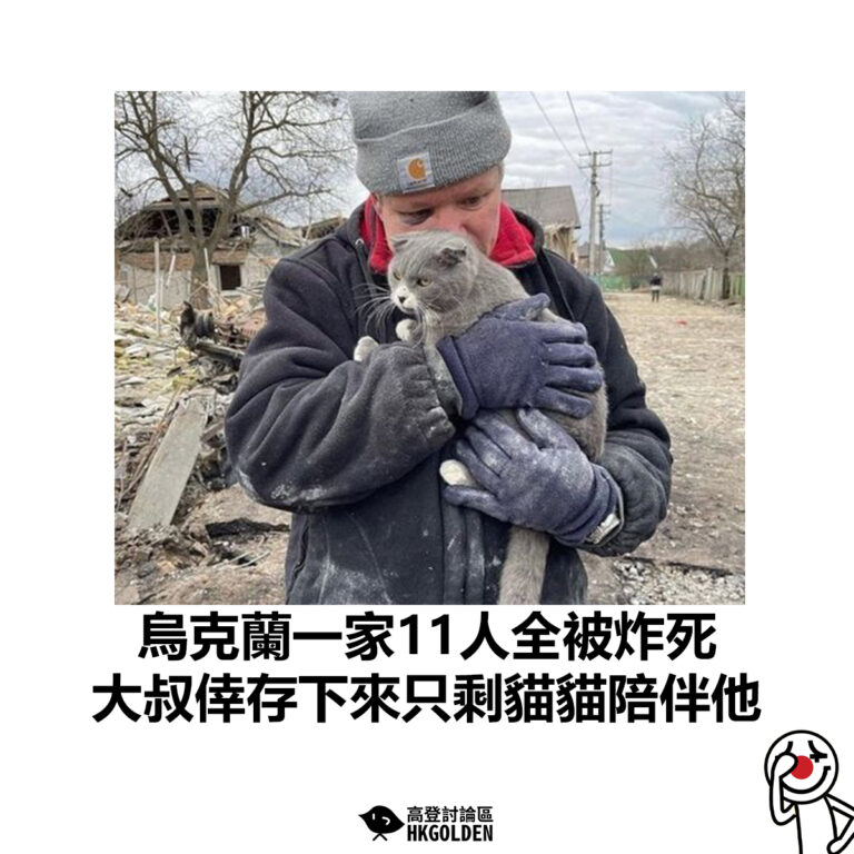 【烏克蘭一家11人全被炸死 大叔倖存下來只剩貓貓陪伴他】