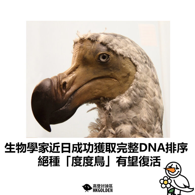 【生物學家近日成功獲取完整DNA排序  絕種「度度鳥」有望復活】