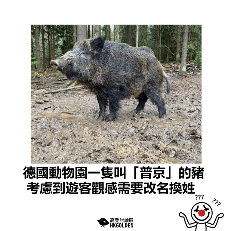 【德國動物園一隻叫「普京」的豬 考慮到遊客觀感需要改名換姓 】