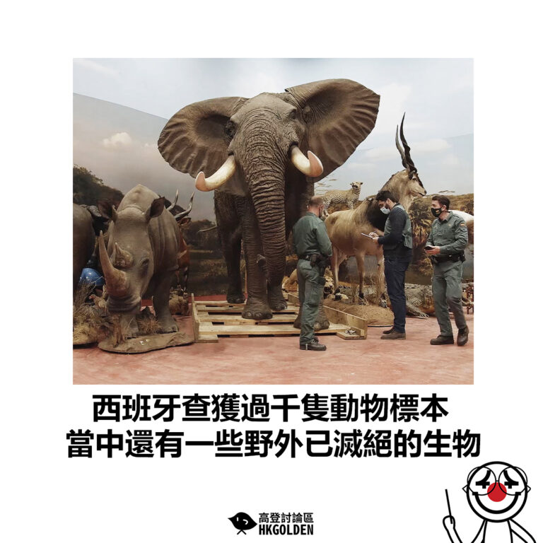【西班牙查獲過千隻動物標本 當中還有一些野外已滅絕的生物】
