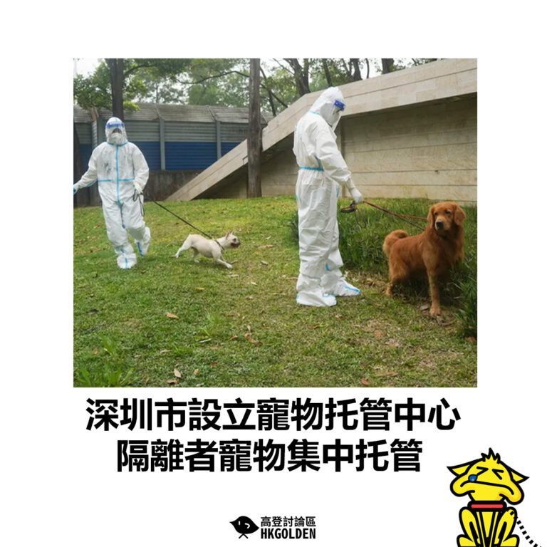 【深圳市設立寵物托管中心 隔離者寵物集中托管】