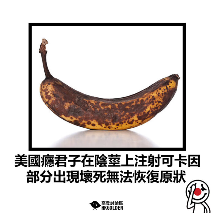 fdhgghdsgdg