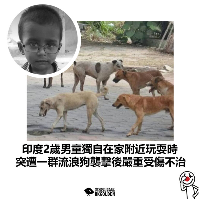 【印度2歲男童獨自在家附近玩耍時 突遭一群流浪狗襲擊後嚴重受傷不治】