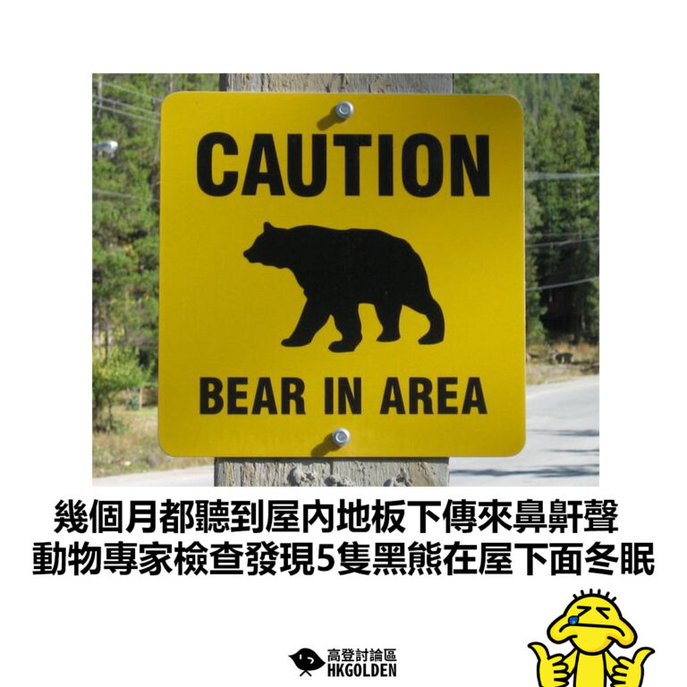 【幾個月都聽到屋內地板下傳來鼻鼾聲 動物專家檢查發現5隻黑熊在屋下面冬眠】