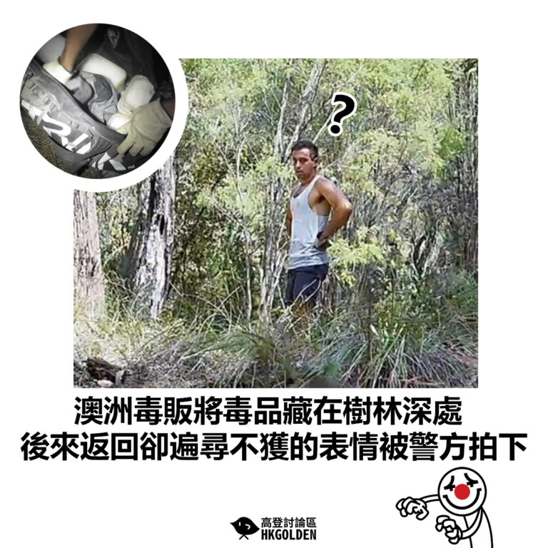 【澳洲毒販將毒品藏在樹林深處 後來返回卻遍尋不獲的表情被警方拍下】