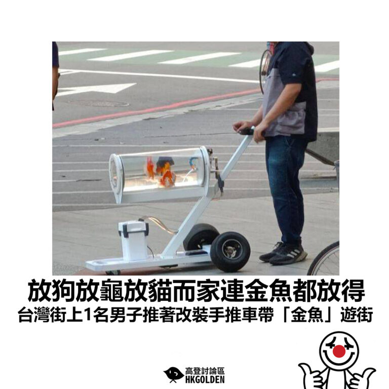 【放狗放龜放貓而家連金魚都放得 台灣街上1名男子推著改裝手推車帶「金魚」遊街】