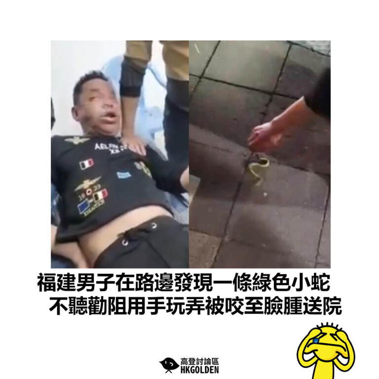 【福建男子在路邊發現一條綠色小蛇 不聽勸阻用手玩弄被咬至臉腫送院】